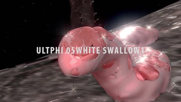 [A_Third_Dimension]_ULTPHI05_white_swallow1